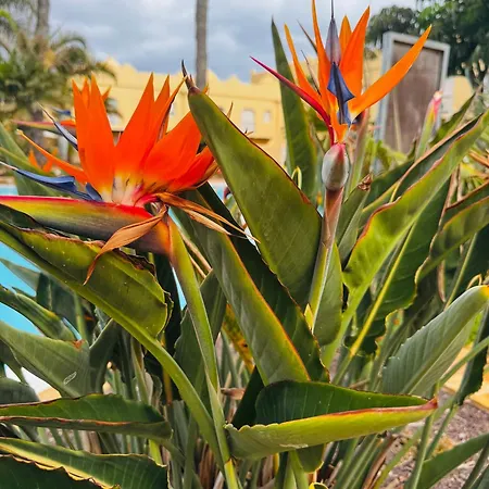 Casa Happyplace Semesterbostad *