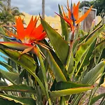Casa Happyplace - Rooftop - Vue - Sunset Ferienhaus *