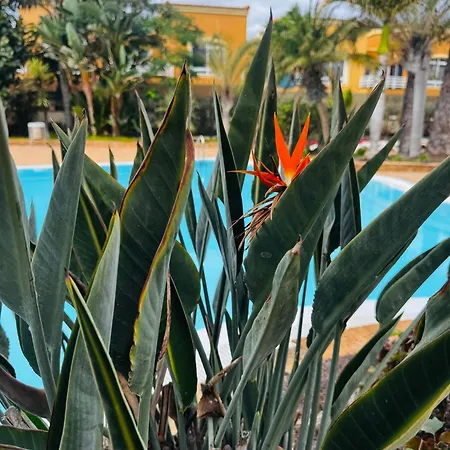 Casa Happyplace كوراليهو