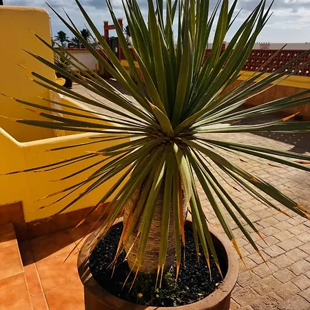 Casa Happyplace Κοραλέχο