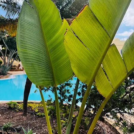 Casa Happyplace * Κοραλέχο