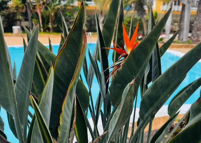 Casa Happyplace - Rooftop - Vue - Sunset Corralejo
