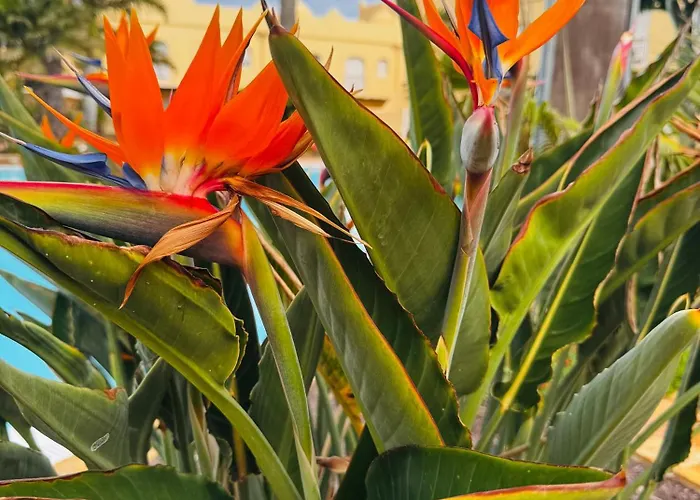 Casa Happyplace - Rooftop - Vue - Sunset Semesterbostad *