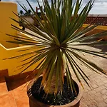 Casa Happyplace - Rooftop - Vue - Sunset קורלחו