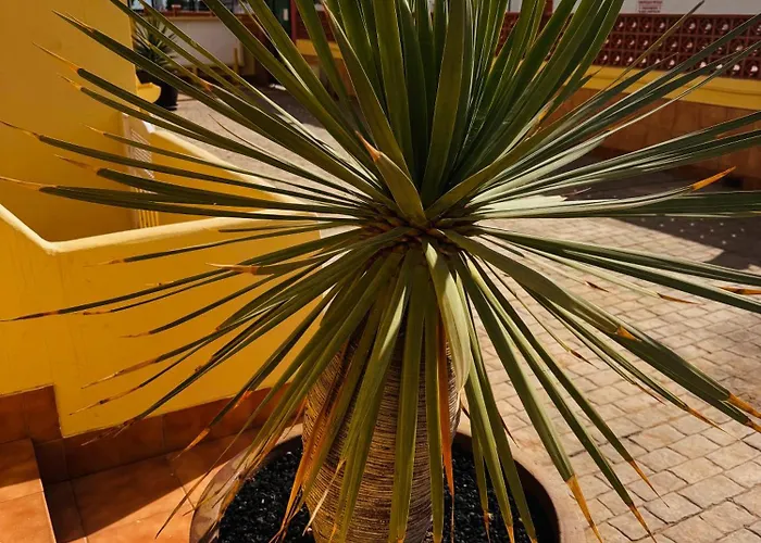 Casa Happyplace - Rooftop - Vue - Sunset Corralejo