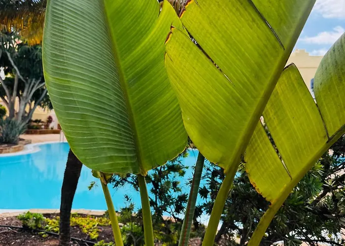 Casa Happyplace - Rooftop - Vue - Sunset * Corralejo
